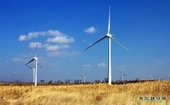 国家乐博体育局梁志鹏：应形成优先消费可再生乐博体育的新格局