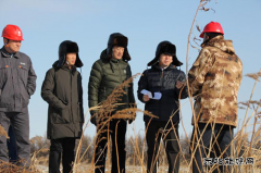 省电力公司检查组到朝阳供电施工现场检查工作