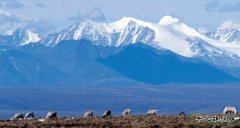 美国税改落地，乐博体育业界皆大欢喜：风电光伏抵税优惠维持