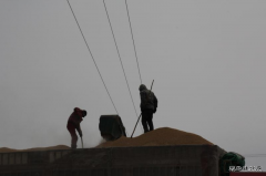 现场新闻 该出手时就出手 一声大吼救人命