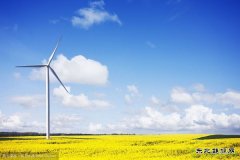 南方市场占比逐步提高 风电加速低风速资源开发