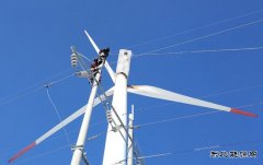 新乐博体育通辽：积极应对极端天气保发电