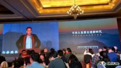 秦海岩：分散式风电搞不起来，风电就没有未来！