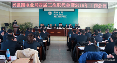 兴凯湖电业局：召开四届三次职代会暨2018年工作会议