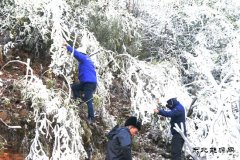 贵州新乐博体育：“冰凝”城下的战斗