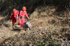 带着大宝去巡线