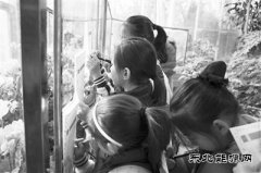 从路边观察城市自然生态