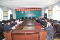 兴凯湖电业局：陈殿军局长参加东海供电主题安全日活动