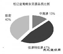 松辽盆地：迈向非常规新时代