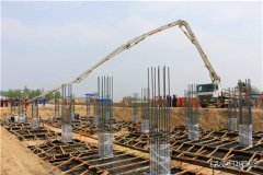 吉林长山：国内首家生物质发电技术改造示范项目开工