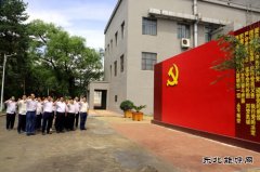 佳木斯供电公司开展“做好先行官、架起连心桥”主题党日活动