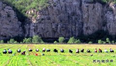 音符（摄影作品）