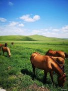 乌拉盖草原（摄影作品）