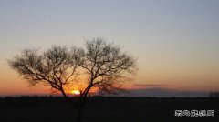 晚秋（摄影作品）