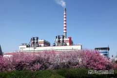 鸡西热电公司：回眸征程 逐梦百年