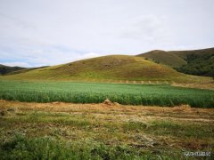 秋天的麦田（摄影作品）