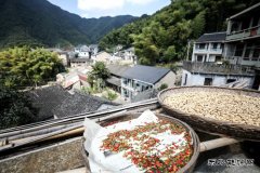 重阳晒秋（摄影作品）