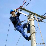 绿满山野――四川宜宾南屏供电公司扶贫故事