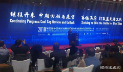 2013-2018年二氧化碳排放增长几乎为零