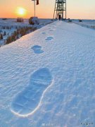 足/xiezuozazhi/2024/1112/＃ㄉ阌白髌罚