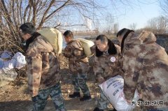 千斤鸟粮 护鸟越冬