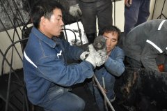 高山煤矿“三查”提高设备检修质量