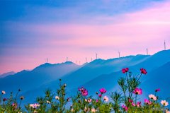 五彩风电（摄影作品）