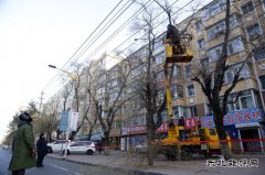 佳木斯供电公司：处理树患 百日攻坚