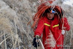 隆隆炮声找油忙