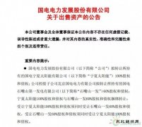 1元收购，背负18亿债务！谁将接盘国电电力？