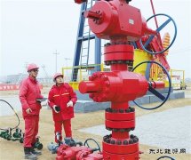 我国实现陆相页岩油工业化开发