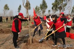 太康县供电公司：志愿服务播新绿