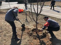潞安焦化：开展植树节主题活动