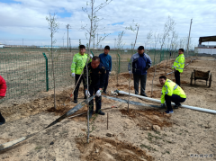 【恰库尔图超限检测站】开展了纪念世界地球日植树活动