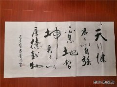 【闲情逸趣】书法作品