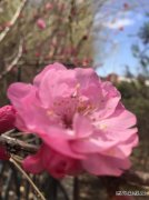 花/xiezuozazhi/2025/0219/＃ㄉ阌氨ǖ溃