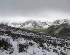 雪后美景（摄影作品）