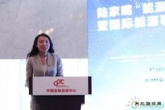 金淑萍：集众智合众力 中国海油创新助力天然气产业健康发展