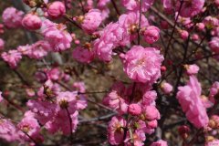 芳华（摄影组图）