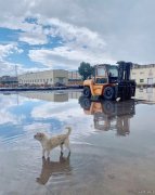 雨后盼初霁（摄影作品）