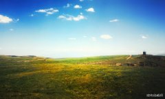 原野（摄影作品）