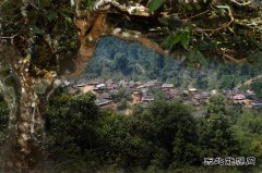 家旁到处是青山（组照）