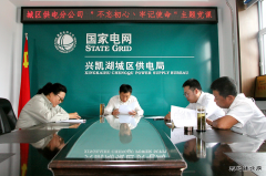 兴凯湖电业公司城区分公司开展主题党日系列活动