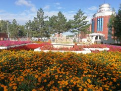 煤城深处的花/xiezuozazhi/2019/1205/＃ㄉ阌白髌罚