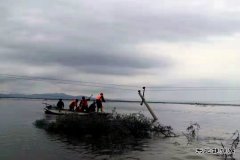 通河供电公司：抗洪抢险保供电 风雨无阻电力人