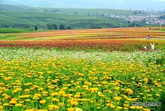 七彩延边（摄影作品）