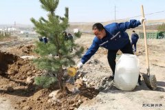 党性与小树共成长--记内蒙古南露天煤矿“党员林”生长情况