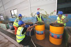 废油桶“变废为宝”成美丽大花盆