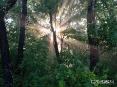 霞光两幅（摄影作品）