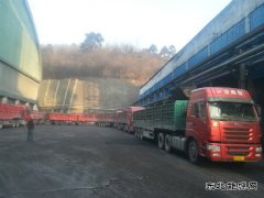 蒲白建庄矿业：日销量创新高 年度强势开局